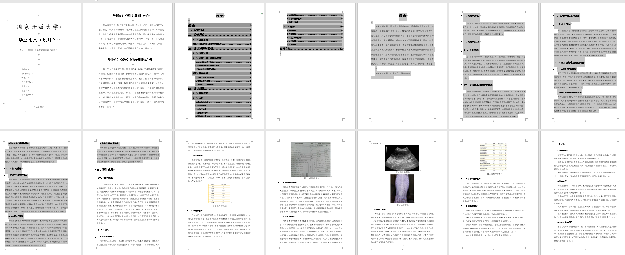 一例京巴犬尿石症的调查与治疗查重论文截图